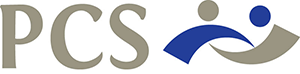 Professional Client Services – Accountants Springwood Development Site Logo